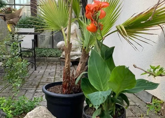 Semesterbostad Jaani 2